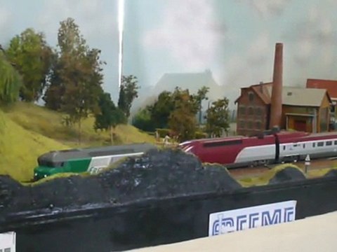 exposition de printemps 2010