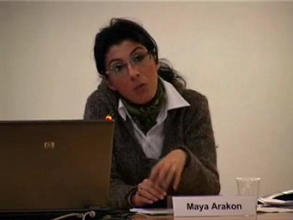 M. Arakon / OBTIC "N. Irish peace pr. and Kurdish ques" 1/3