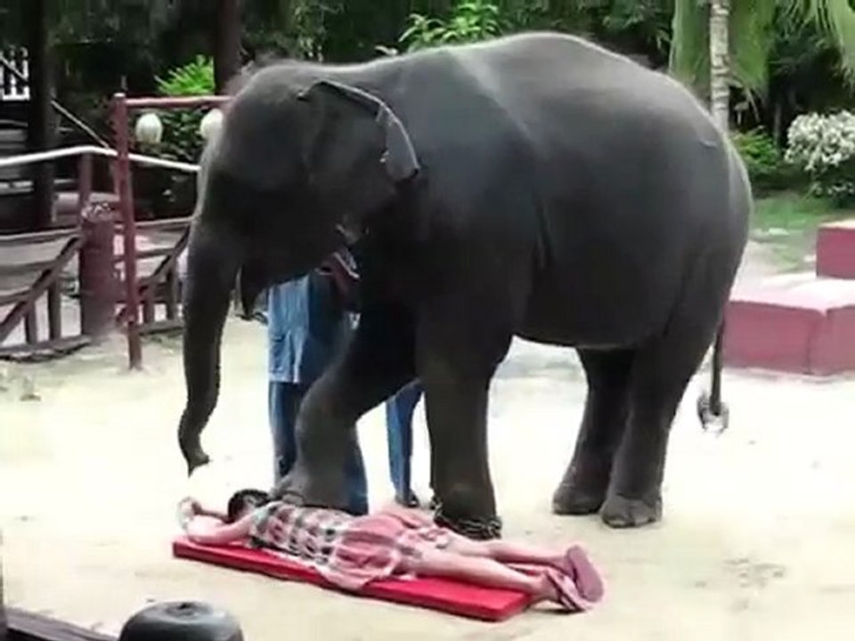 *Délicat Massage Thaï -lol ;) Delicate Thaï Massage*