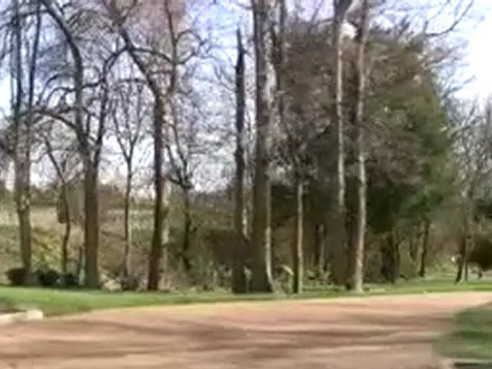 The Laurels Brentwood TN