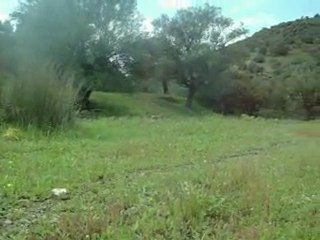 le printemps en kabylie