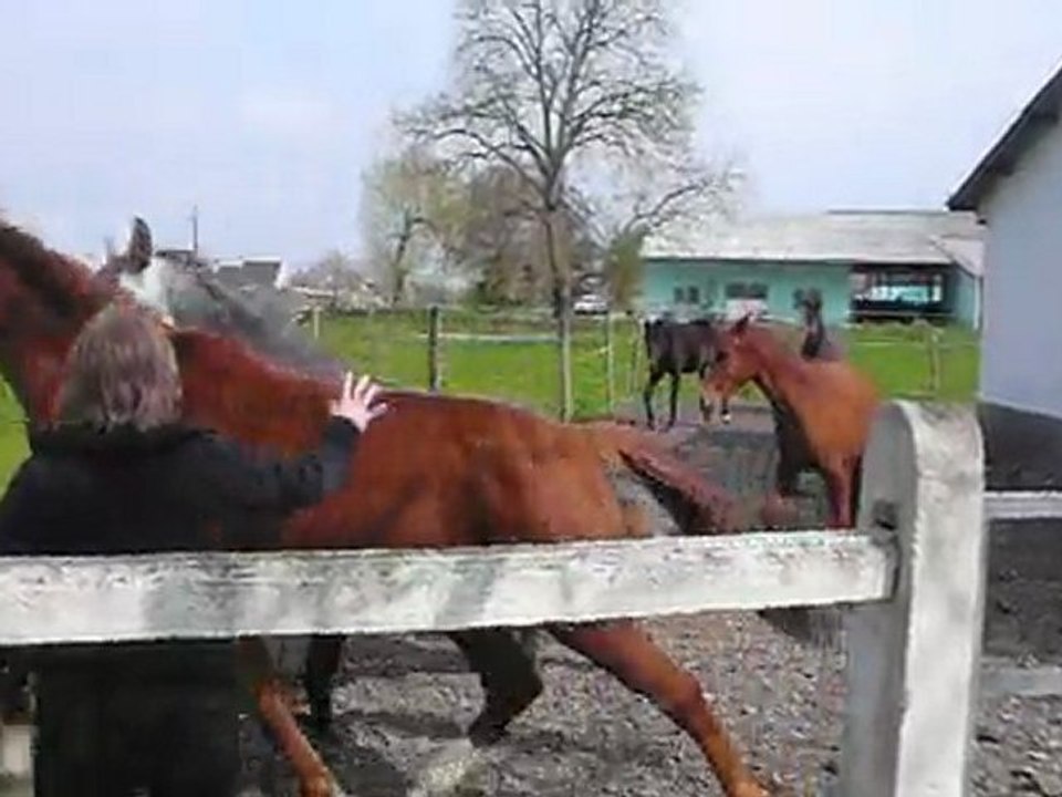 La troupe au prés