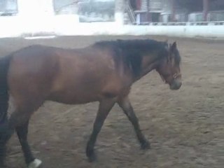 journée baba cool pour balou