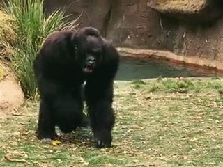 İki Babalık - Old Dogs www.cinefragman.info