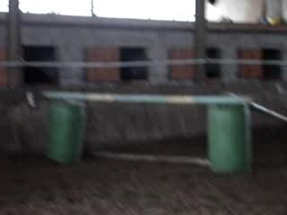 MOV01490