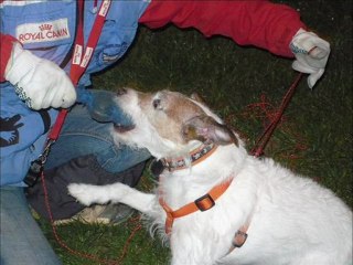 raven et alien avril 2010_0001