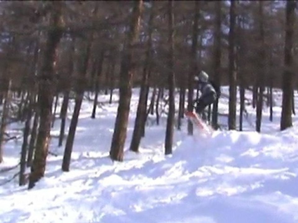 ski 2010 montage