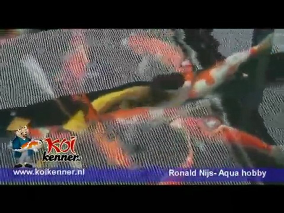 Video over koi