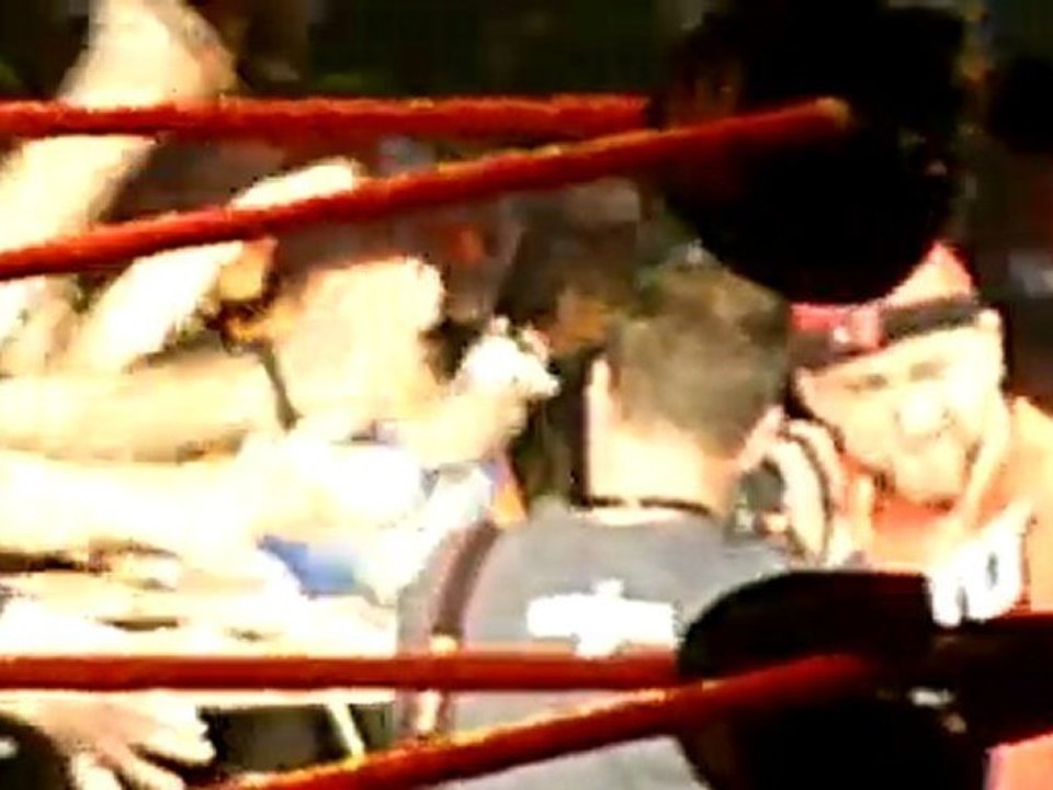 William Regal vs MVP