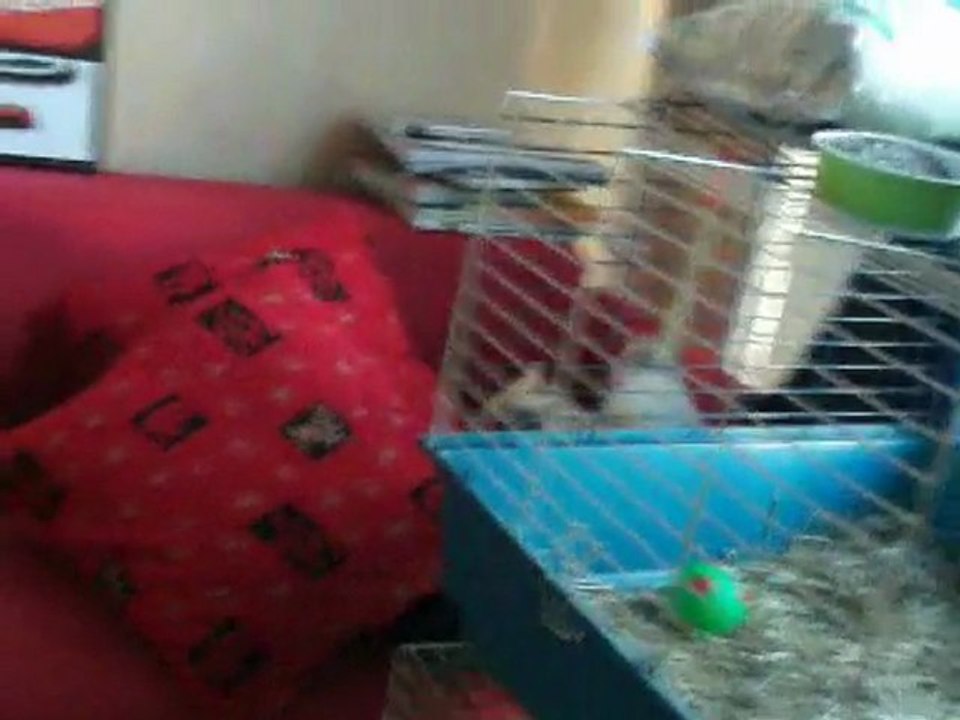 La Petite Bande déchéner ! :D