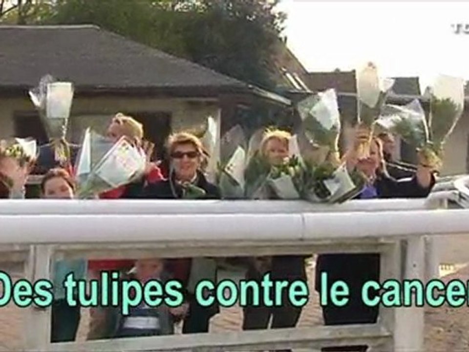 Des-tulipes-contre-le-cancer-2010-b