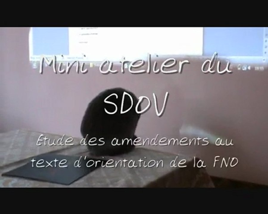 Le SDOV en atelier