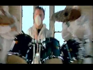 Włochaty - Animals (Głos zwierząt)