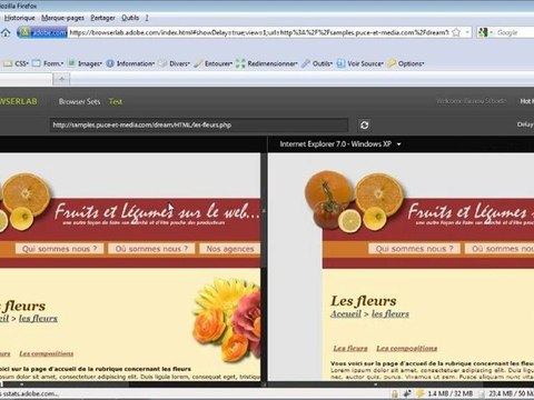 Dreamweaver CS5 : Adobe BrowserLab - video2brain