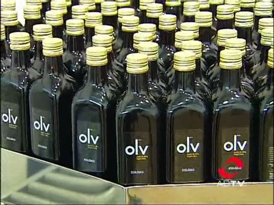 Les eseñamos cómo se fabrica el aceite ecológico en Alcaraz