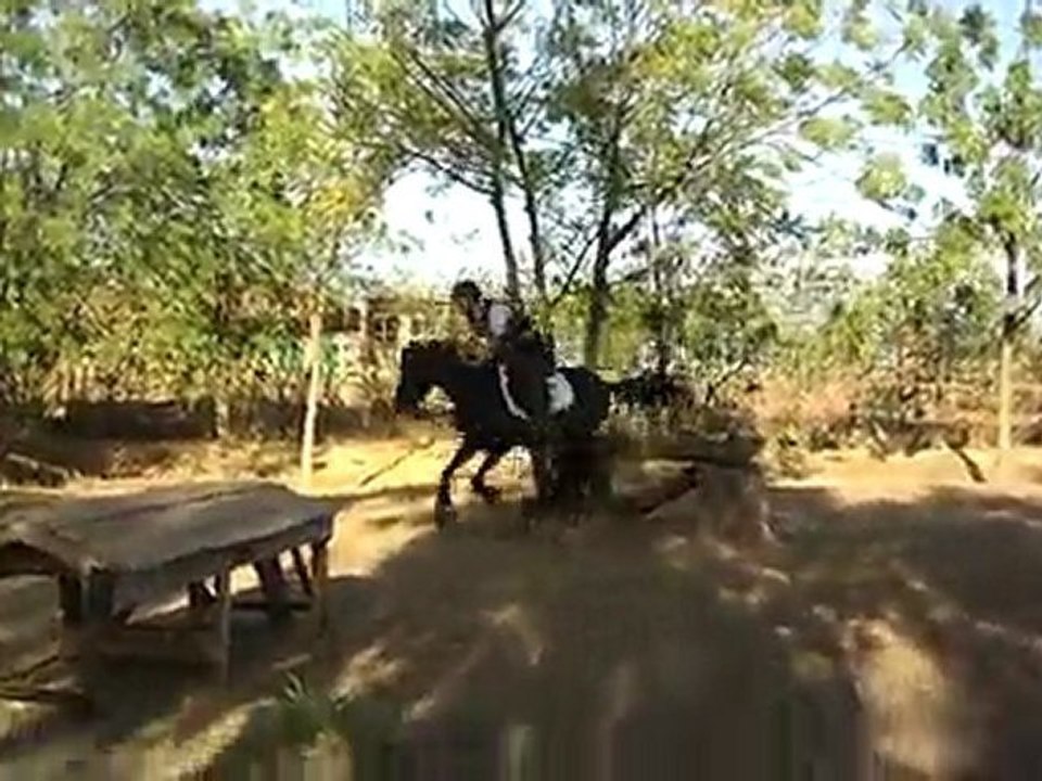 Ouagadougou concours complet - cross