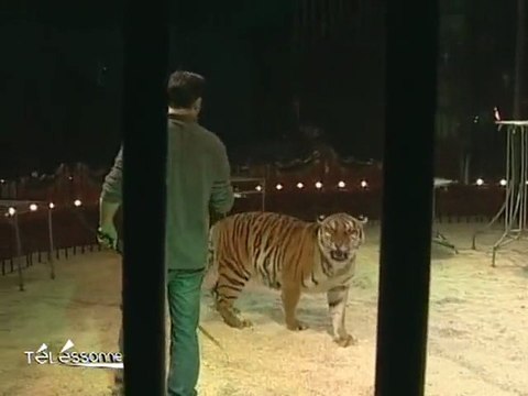 Le Cirque de Venise en représentation à Massy