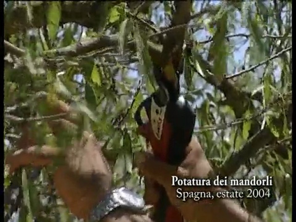 Infaco - Tesoura Electrónica Proporcional F3005