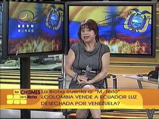 La Bicha 16 de abril (1)