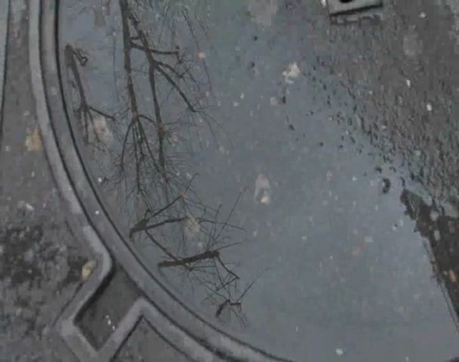 Le gris #3