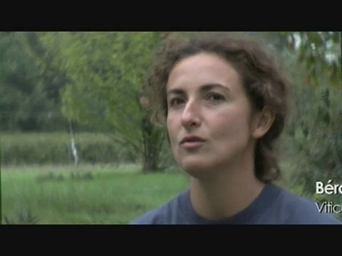 Produits phytosanitaires, la MSA enquête