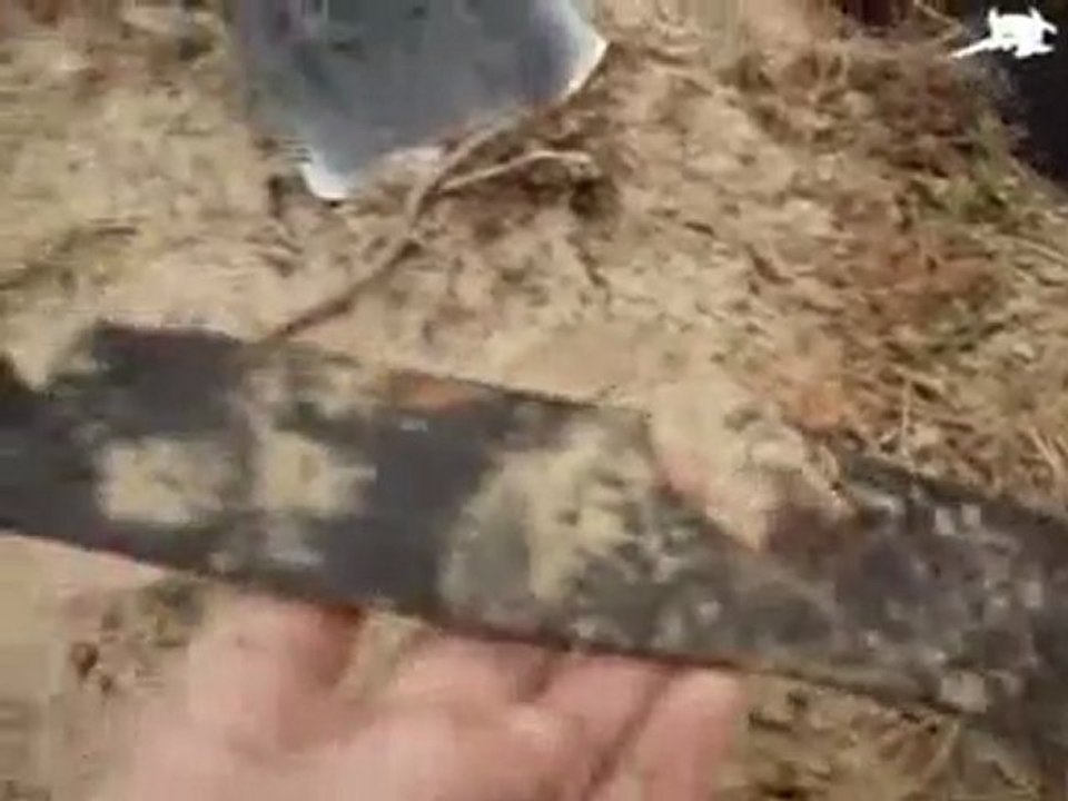 Vidéo fouilles russie.