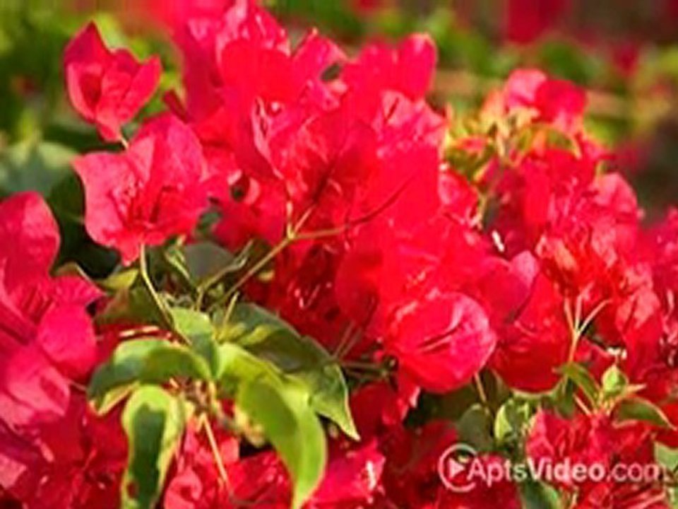 Bridgeview - San Diego Apartments in San Diego, CA - ...