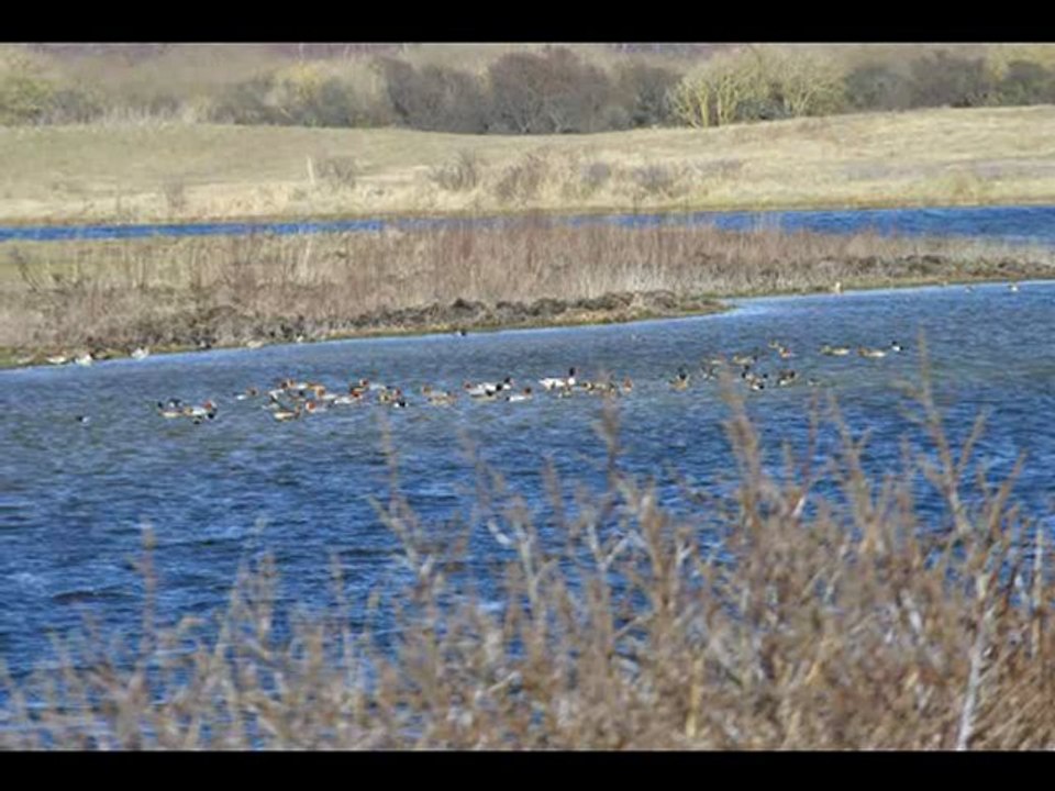 La Baie de Somme
