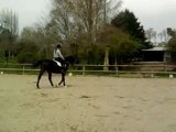 Dressage Galop 7