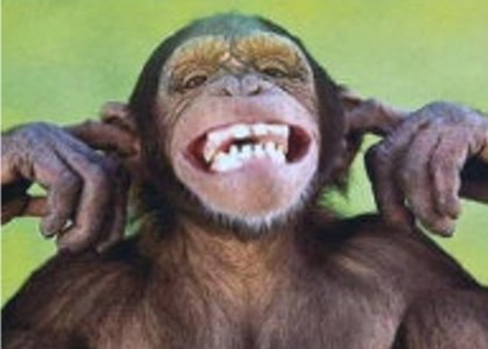 la vie privée des animaux " la france vu par les singes "