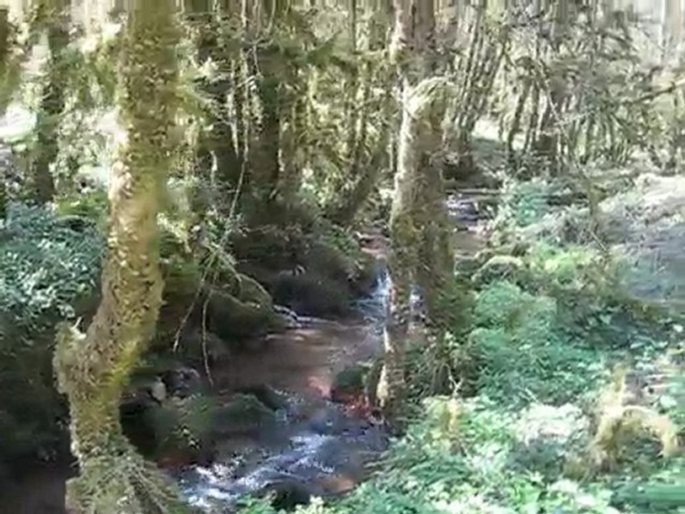 MVI_7774