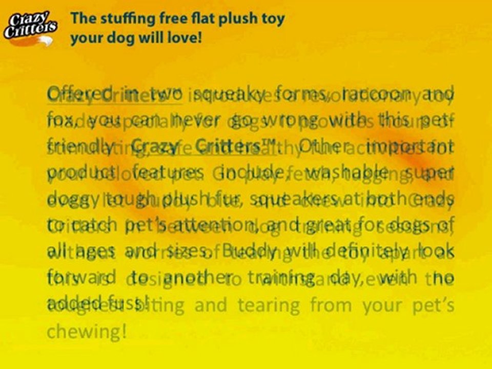 Aggressive Dog Training