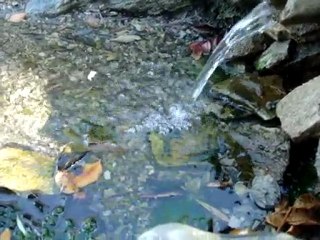 Fontaine à Ighil Ali, Tala Gadda "Adieu l'Ami! "