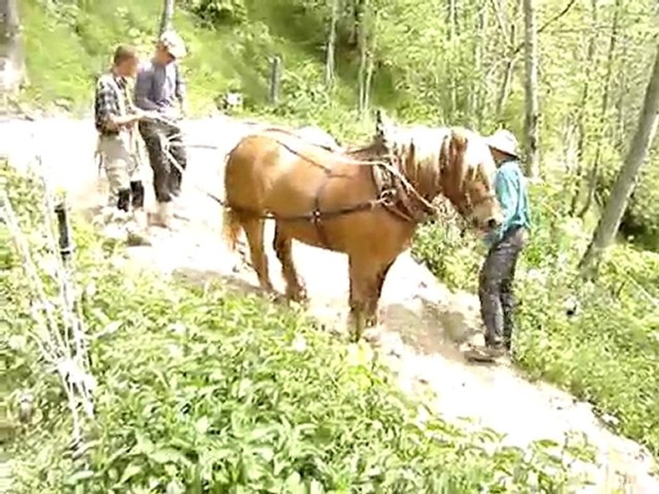 Debardage à Montdenis-2009, Castille à la poulie