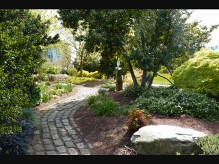 Seattle ville en fleurs