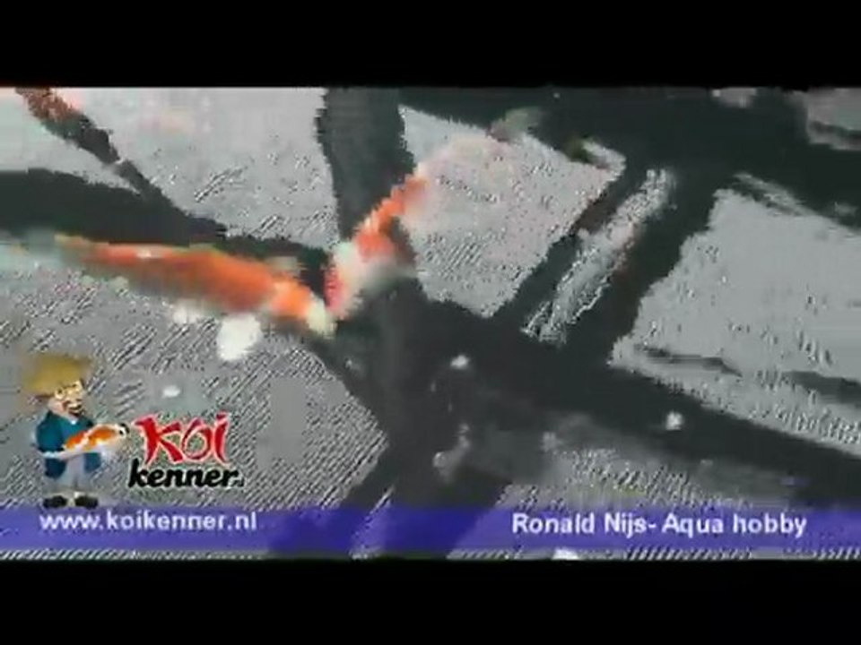 Video over koi