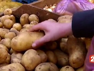 la pomme de terre OGM autorisée par l'Europe