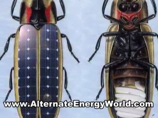 Where Would You Use a Portable Solar Panel