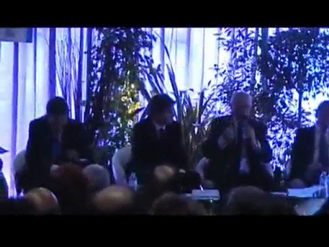 ASSISES DE L'AMIF 2010 ATELIER GRAND PARIS Interv G. CATOIRE