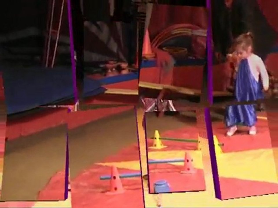 cirque 2010 annonce