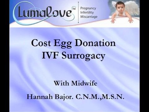 Infertility Investment Cost Egg Donation IVF Surrogacy