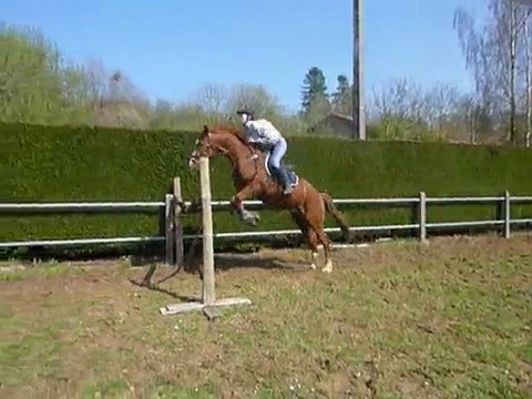 Obstacle 1m20 avec Quero