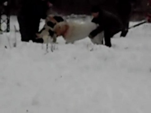 Сен Сао Мурат - Св.Страж Аграм (2й раунд Чемпионата Черноземья)