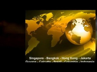 Wholesale Tropical Fish - East Coast Tranship USA