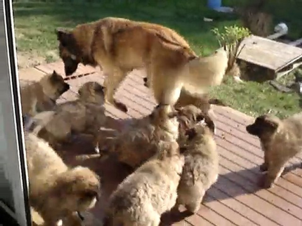 Nous profitons du beau temps