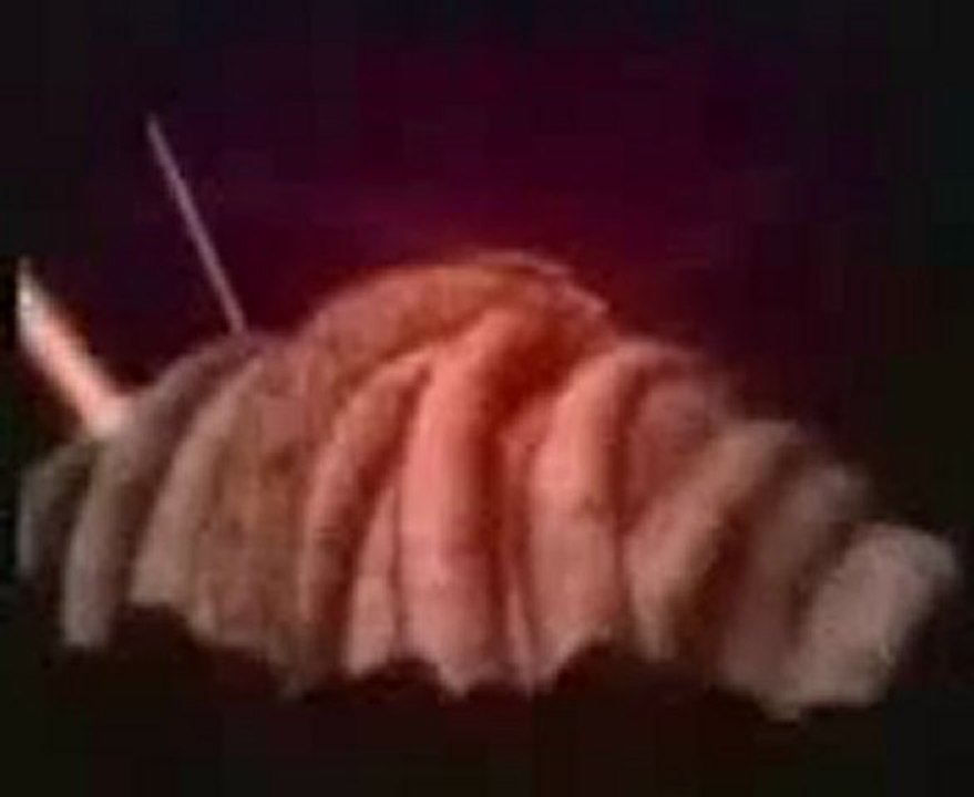 Anko Double Serpent Destructeur