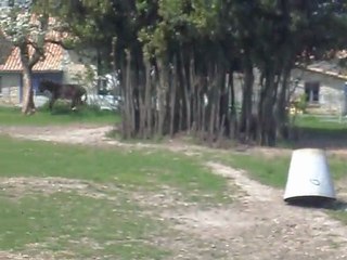 SDC11467
