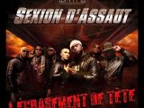 CONCERT 30/04/10 SEXION D'ASSAUT, DRY, SAT, ALONZO...