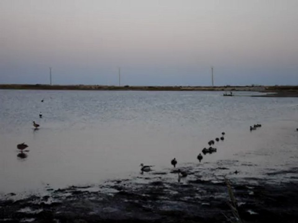 mon attelage