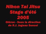 Nihon Tai Jitsu - Stage d'été 2005 - Oléron